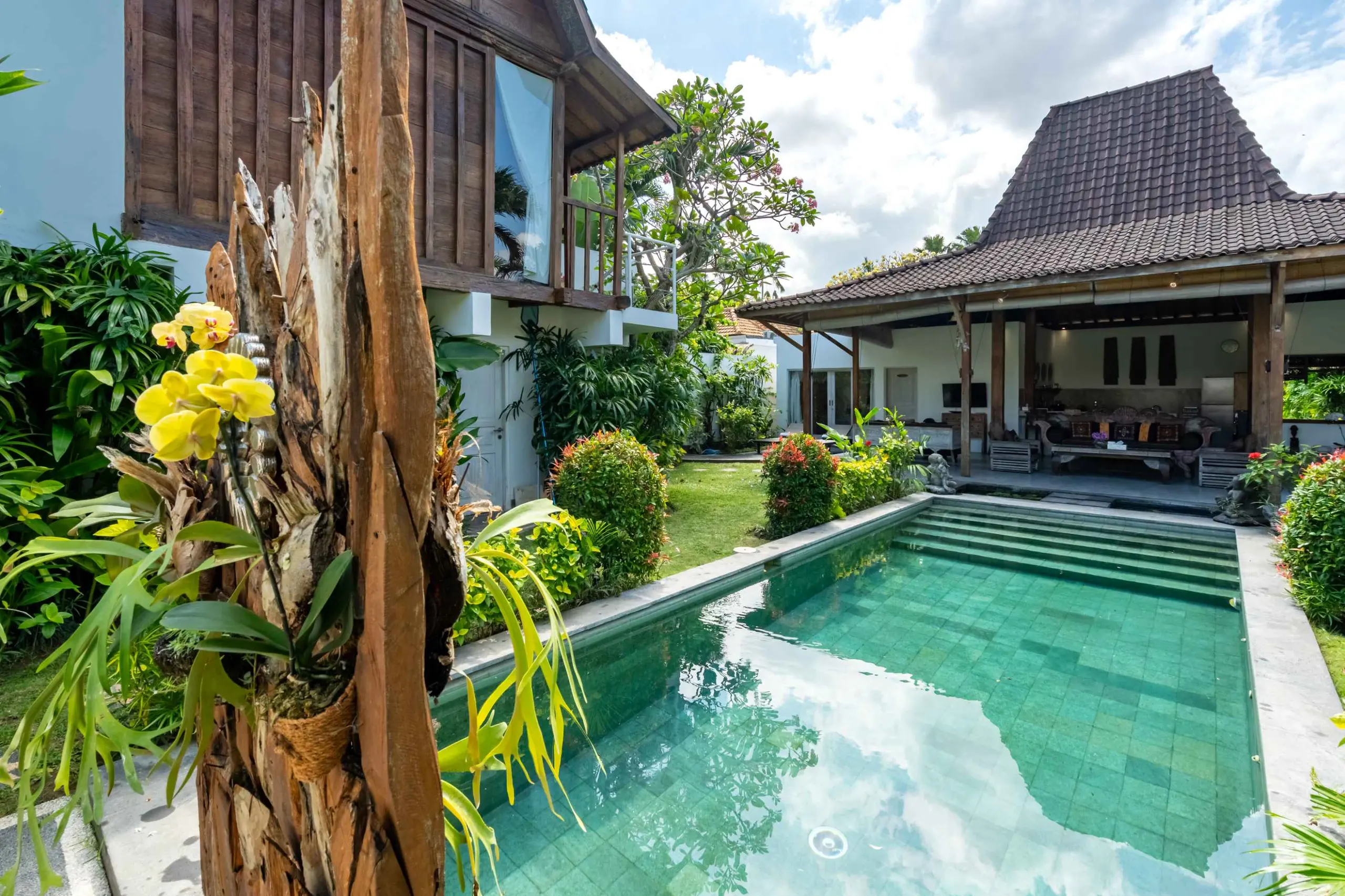 The garden & pool