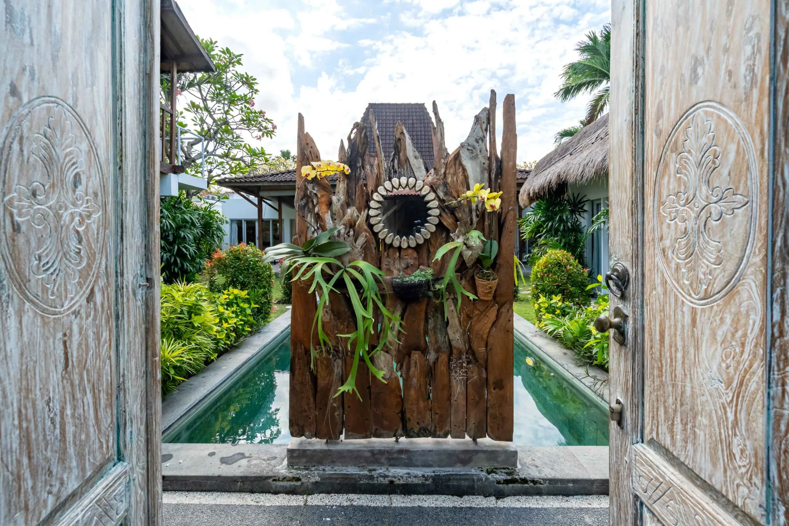 The garden & pool