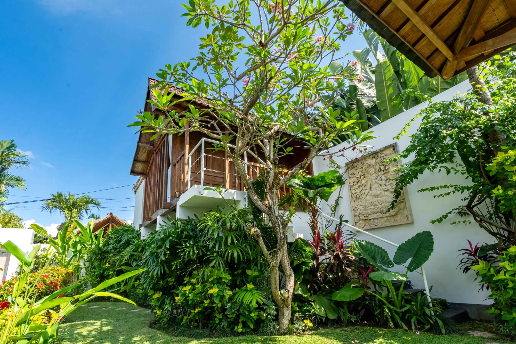 The garden path — frangipani and heliconia crowding the stone walk