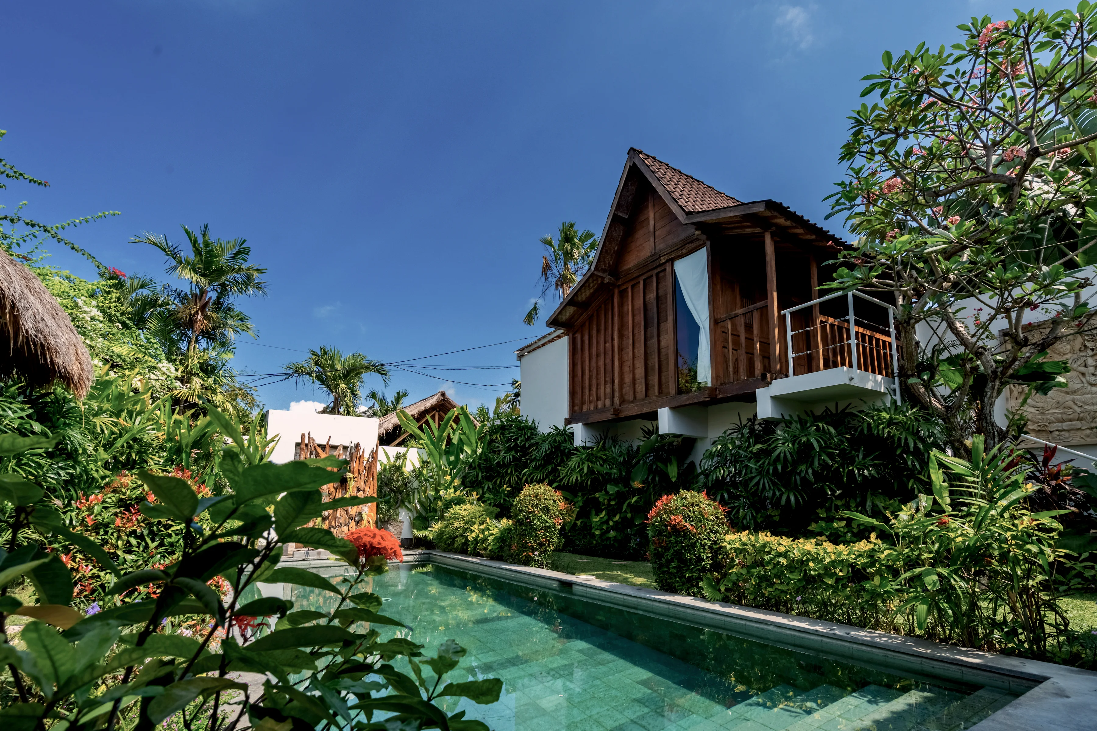 The pool seen through red flowering shrubs