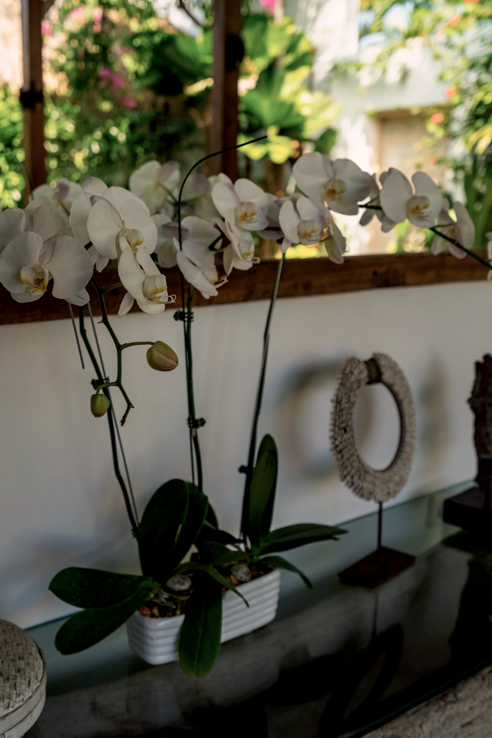 White orchids and a shell ornament